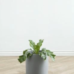 Lulu And Georgia LBE Design Ceramic Planter