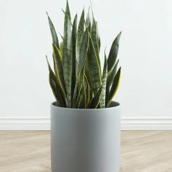 Lulu And Georgia LBE Design Ceramic Planter
