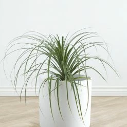 Lulu And Georgia LBE Design Ceramic Planter