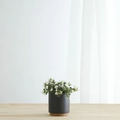 Lulu And Georgia LBE Design Ceramic Planter + Plinth Accessories + Décor