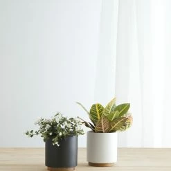 Lulu And Georgia LBE Design Ceramic Planter + Plinth Accessories + Décor