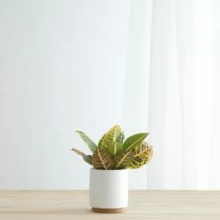 Lulu And Georgia LBE Design Ceramic Planter + Plinth Accessories + Décor