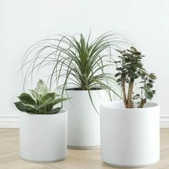 Lulu And Georgia LBE Design Ceramic Planter