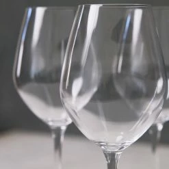 Lulu And Georgia Borough Champagne Tulip Glass (Set Of 4) By LSA International Curved + Rounded