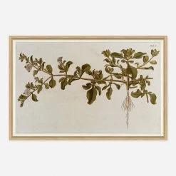 Lulu And Georgia 'Flowering Plants I' Wall Art By Franz Anton Von Scheidl Mossy Greens