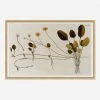 Lulu And Georgia 'Flowering Plants II' Wall Art By Franz Anton Von Scheidl Walls