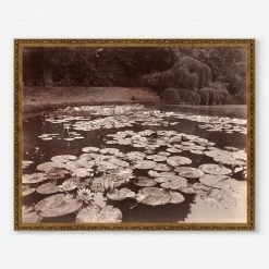 Lulu And Georgia Earth Tones 'Nymphéas (Bagatelle)' Print By Eugène Atget