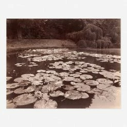 Lulu And Georgia Earth Tones 'Nymphéas (Bagatelle)' Print By Eugène Atget