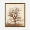 Lulu And Georgia 'Oak Tree' Print By William Henry Fox Talbot Earth Tones