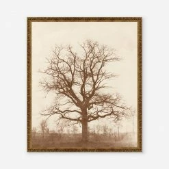 Lulu And Georgia 'Oak Tree' Print By William Henry Fox Talbot Earth Tones