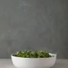 Lulu And Georgia Organic Serving Bowl, Large By Hawkins New York Kitchen + Dining