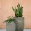 Lulu And Georgia Accessories + Décor Orlax Planters (Set Of 2)