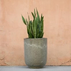Lulu And Georgia Accessories + Décor Orlax Planters (Set Of 2)