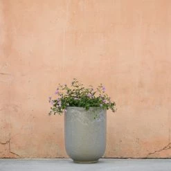 Lulu And Georgia Accessories + Décor Orlax Planters (Set Of 2)