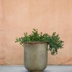 Lulu And Georgia Accessories + Décor Orlax Planters (Set Of 2)