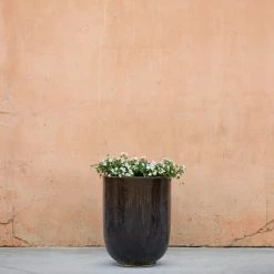 Lulu And Georgia Accessories + Décor Orlax Planters (Set Of 2)