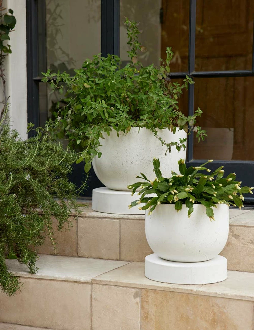 Best Sale π Lulu And Georgia Dreama Indoor / Outdoor Planter π 5 Lulu And Georgia Dreama Indoor / Outdoor Planter
