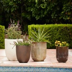 Lulu And Georgia Bradford Planter By Campania International New