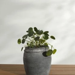 Lulu And Georgia Roni Planter Earth Tones