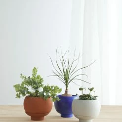 Lulu And Georgia Sutton Self-Watering Planter By Greenery Unlimited New