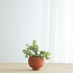 Lulu And Georgia Sutton Self-Watering Planter By Greenery Unlimited New