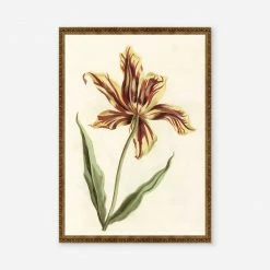 Lulu And Georgia 'Tulip' Print Walls