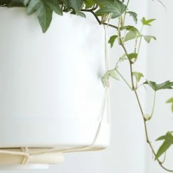 Lulu And Georgia Elidi Wall Hanging Planter New