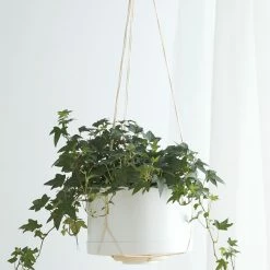Lulu And Georgia Elidi Wall Hanging Planter New