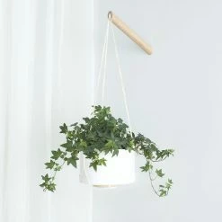 Lulu And Georgia Elidi Wall Hanging Planter New