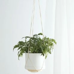 Lulu And Georgia Elidi Wall Hanging Planter New
