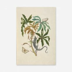 Flash Sale π Lulu And Georgia 'Cassava With White Peacock Butterfly And Young Golden Tegu' Wall Art By Maria Sibylla Meria π 5 Lulu And Georgia 'Cassava With White Peacock Butterfly And Young Golden Tegu' Wall Art By Maria Sibylla Meria