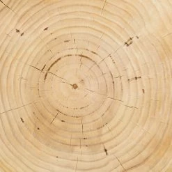 Lulu And Georgia Curved + Rounded Solaro Side Table