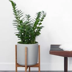 Lulu And Georgia Accessories + Décor LBE Design Ceramic Planter + Teak Stand