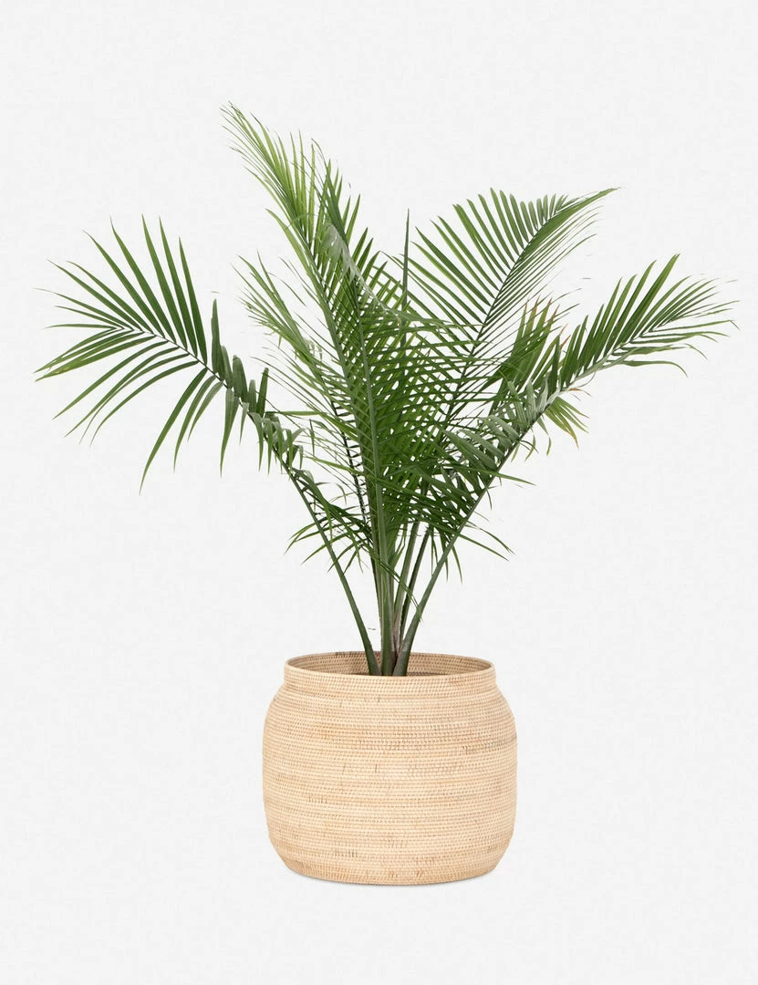 Best Sale 🔥 Lulu And Georgia Deya Basket, Natural 🤩 4 Lulu And Georgia Deya Basket, Natural