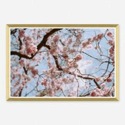 Lulu And Georgia Walls 'Spring Tones' Photography Print