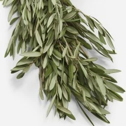 Lulu And Georgia Fresh Handmade Olive Branch Garland