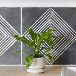 Lulu And Georgia LBE Design Ceramic Indoor / Outdoor Planter