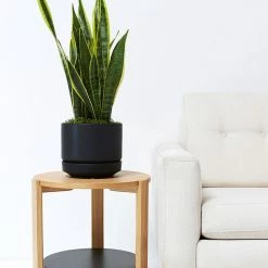 Lulu And Georgia LBE Design Ceramic Indoor / Outdoor Planter