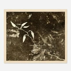 Lulu And Georgia Walls 'Spring Eternal 1' Wall Art By Kira Appelhans