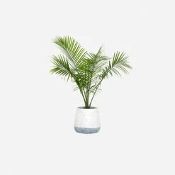 Lulu And Georgia Carling Planter Outdoor Collection