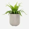 Lulu And Georgia Dena Indoor / Outdoor Round Planter, Grey Outdoor Collection