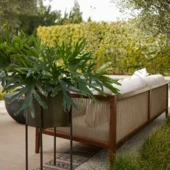 Lulu And Georgia Francine Planter