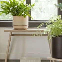 Lulu And Georgia LBE Design Ceramic Indoor / Outdoor Planter